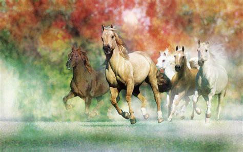 Horse Art Wallpapers Wallpaper Cave