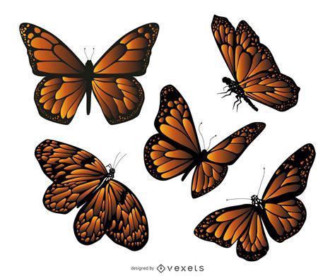 Descarga Vector De Conjunto De Ilustración De Mariposa Monarca