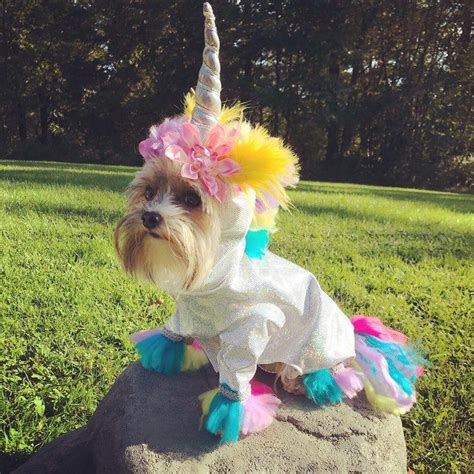 Magical Unicorn Dog Costume Perfect For Halloween Etsy In 2021