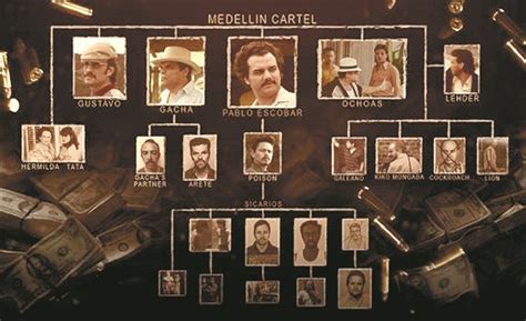 Jun 10, 2021 · colombia alcaldía de cali presenta denuncia por el homicidio del patrullero carlos andrés rincón en medellín se llevaron a cabo las exequias del policía y se le rindió un homenaje por parte. Cartel de Medellín | Wikia Narcos | FANDOM powered by Wikia
