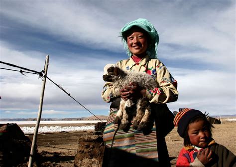 【西藏牧民生活摄影图片】西藏当雄、日喀则纪实摄影 桑尼尼 太平洋电脑网摄影部落