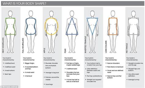 what s your preferred body type girlsaskguys