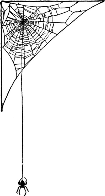 Spider Web Background Png