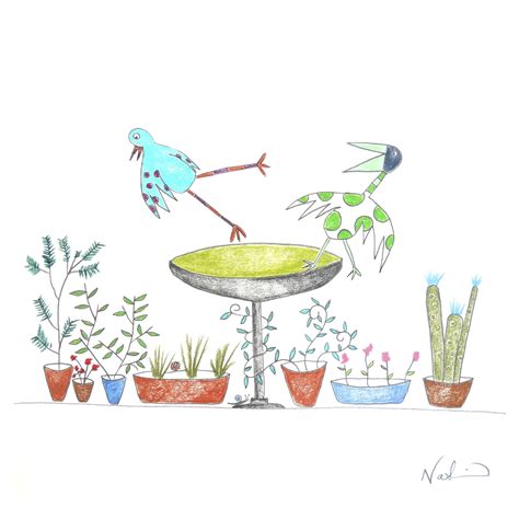 Bird Bath - Original Drawing - Shadow Box — natchie