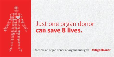 How Many Lives Can An Organ Donor Save Wenpandesign