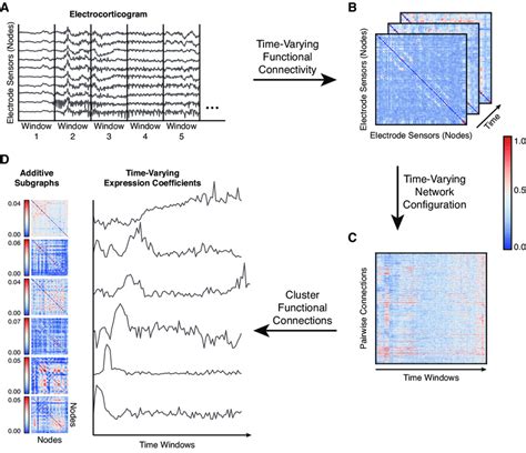 Clustering Functional Connections From Dynamic Epileptic Networks A Download Scientific