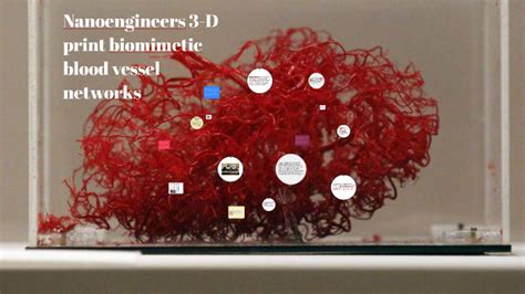 Nanoengineers 3 D Print Biomimetic Blood Vessel Networks By Izabela Kościk