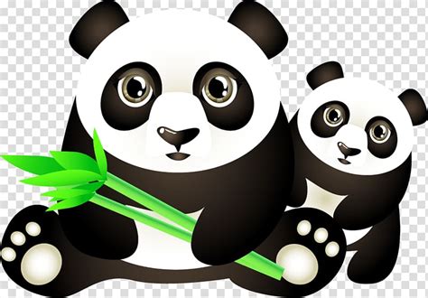 Giant Panda Po Clip Art Vector Graphics Cartoon Polar Bear Png Riset