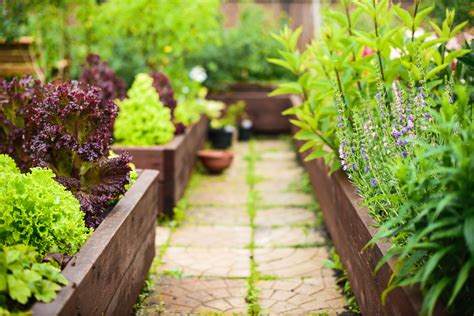 How To Set Up Your Raised Garden Bed