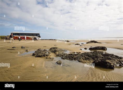 Remote Ninety Mile Beach Tourists And Parked Coach At The Bluff On