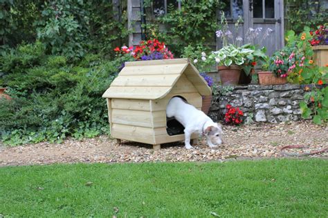 Buckland Dog Kennel - Small | Diy dog kennel, Dog kennel 