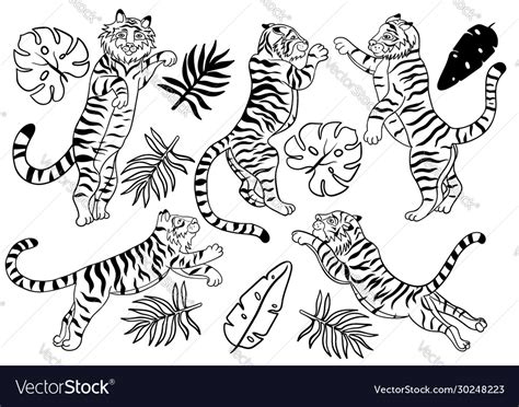 Set Jumping Tigers Isolated On A White Royalty Free Vector
