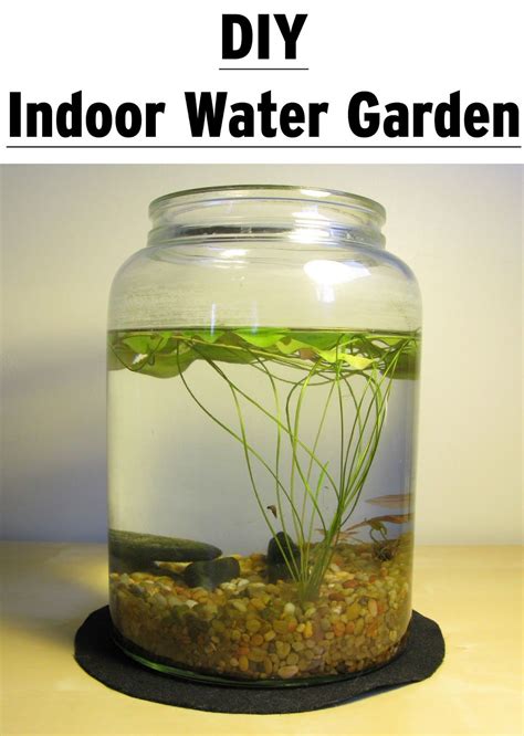 Diy Indoor Water Garden With Images Indoor Water Garden Water