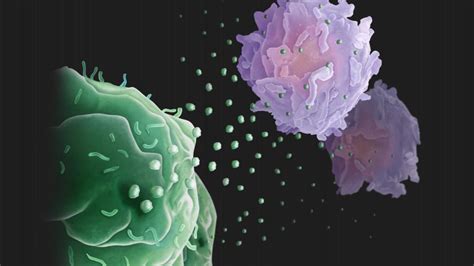 Tumor Cells Can Unleash Tiny Weapons To Ward Off Immune System Attacks