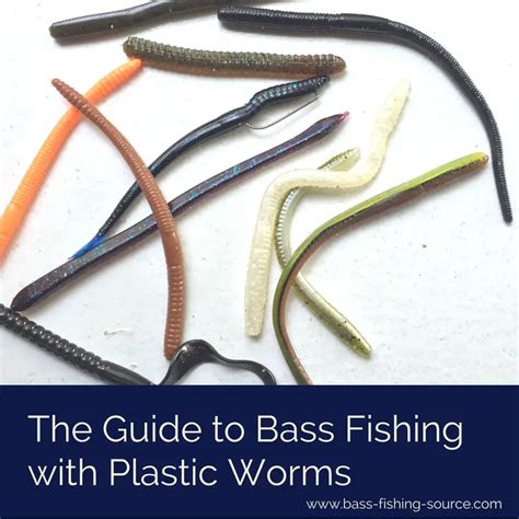 The Guide To Using Soft Plastic Worms For Bass Fishing