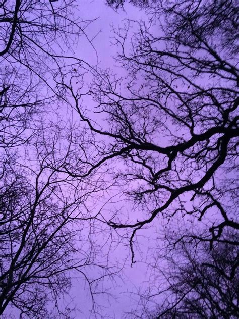 Entdecke rezepte, einrichtungsideen, stilinterpretationen und andere ideen zum ausprobieren. Aesthetic | Purple | Dark | Sfondi viola, Viola pallido e ...