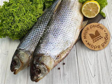 Рыба вяленая и диета Кутум вяленый / Рыба / Вяленая/сушеная / Ассортимент Кутум вяленый / Рыба / Вяленая/сушеная / Ассортимент Рыба вяленая и диета