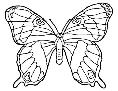 Encourage your child's imagination skills with these beautiful butterfly coloring pages printable, which depict them in various shapes and sizes. Butterflies to color for children - Butterflies Kids Coloring Pages