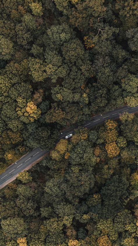 Download Wallpaper 1440x2560 Forest Road Aerial View Trees Treetops