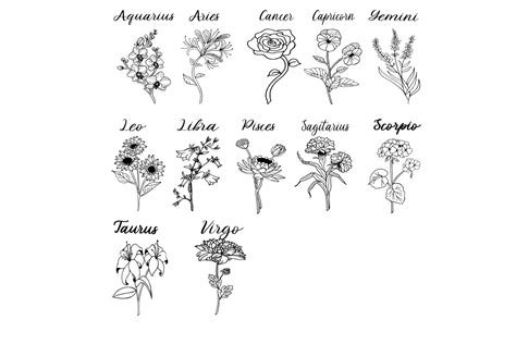 Birth Zodiac Sign Flowers Grafik Von Cwgirlsdream14 · Creative Fabrica