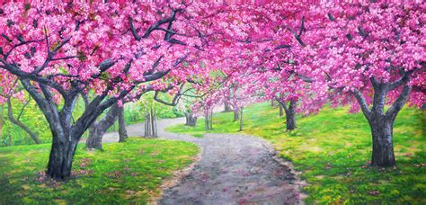 Cherry Blossom Path Backdrop Rentals Theatreworld
