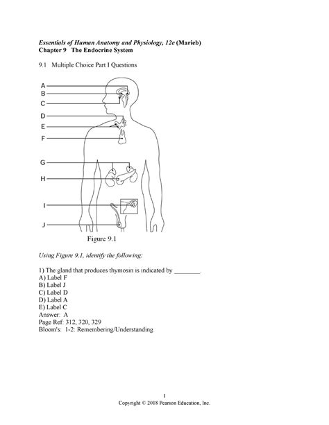 Ehap12e Ch 09 Test Bank Human Anatomy Test Bank Essentials Of