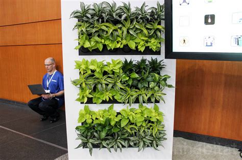 Expert advice for green walls and living walls at home. Gorgeous self-watering green walls add life and fresh air ...