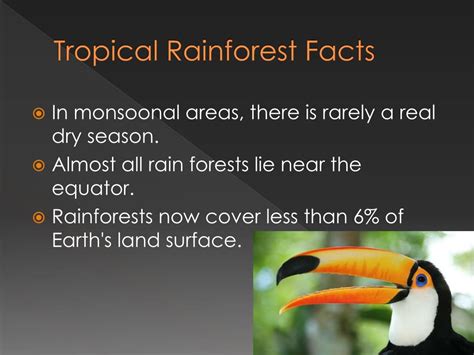 Ppt Tropical Rainforest Biome Powerpoint Presentation Free Download