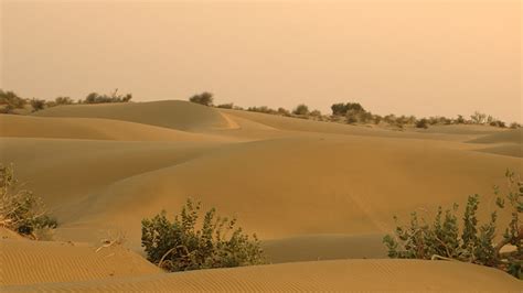 Thar Desert Rajasthan Activities And Attractions Of Thar Desert