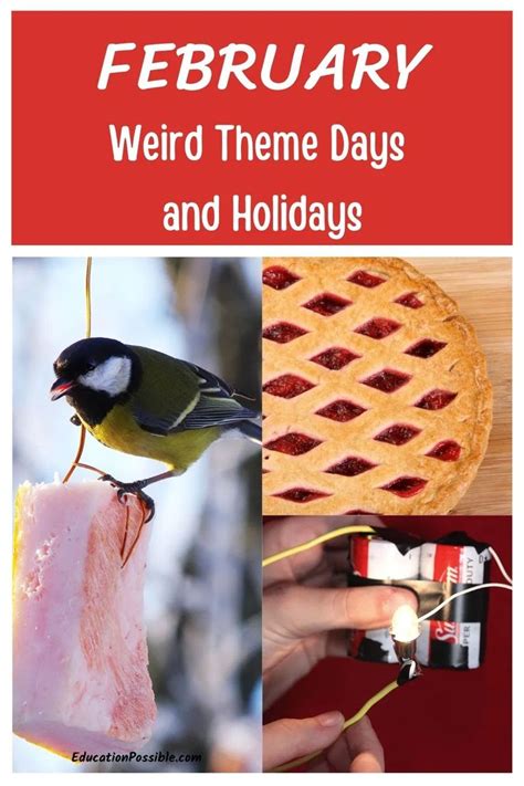 Weird Holidays In February To Celebrate With Tweens In 2021 Weird
