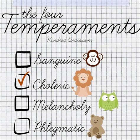 An Overview Of The Four Temperaments Pedagogia Waldorf