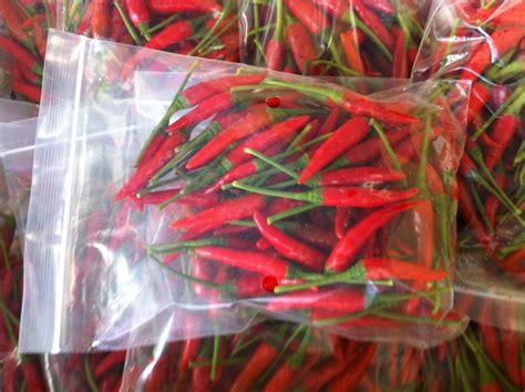 Small Red Chilli Padi 100g Tri Gem Resources