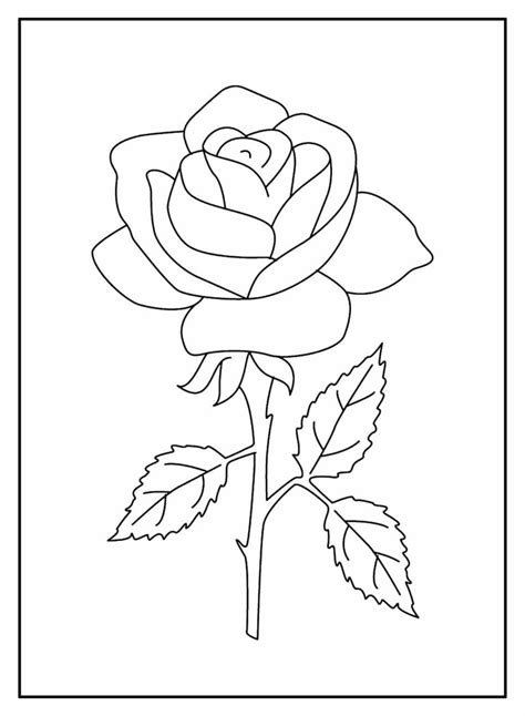 Desenhos De Rosas Para Colorir Bora Colorir