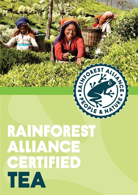 Leaflet Rainforest Alliance Certified Tea Rainforest Alliance