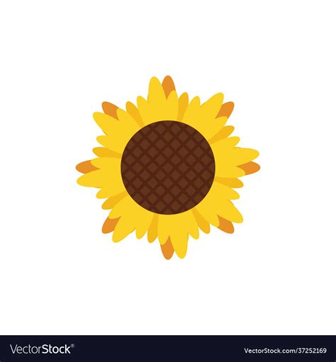 Sunflower Icon Design Template Royalty Free Vector Image