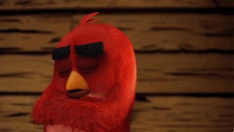 Angry Birds Gif Find Share On Giphy Angry Birds Angry Birds Movie Angry Bird Pictures
