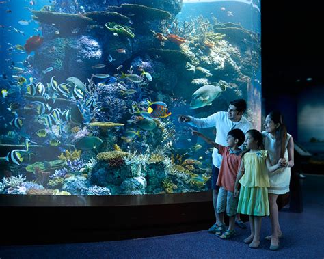 Sea Aquarium Sentosa Opening Hours