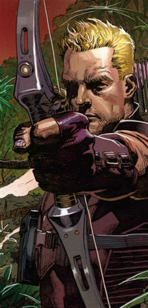 36 Best Comics Hawkeye Images On Pinterest Comic Covers