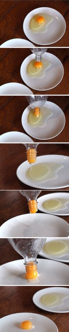 How To Separate Egg Yolk From Egg White Musely