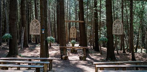 The Forest Chapel Wedding Venues Ontario Forest Wedding Woodland