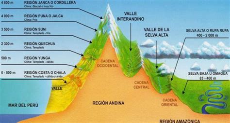 Conoce Las Ocho Regiones Naturales Del Perú Familia Trome