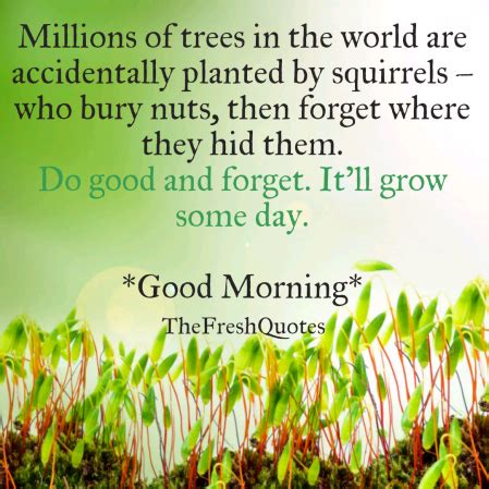 Beautiful Good Morning Nature Images with Quotes Share good morning pics with your friends and post to facebook, whatsapp, instagram or pinterest.