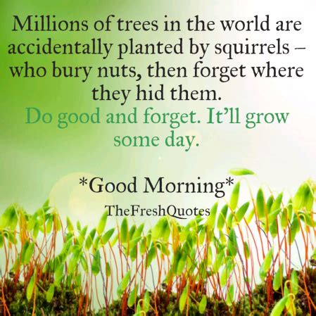 These 27 quotes would inspire you to have a good morning anywhere you are #4: Beautiful Good Morning Nature Images with Quotes