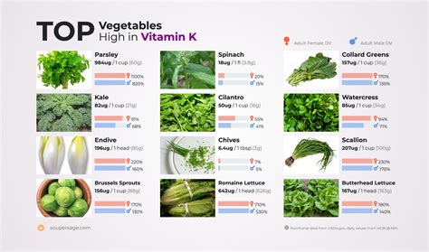 Top Vegetables High In Vitamin K