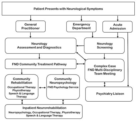 Developing A Multidisciplinary Pathway For Functional Neurological