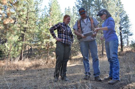 Helping Forest Landowners Lead On Climate Solutions American Forests