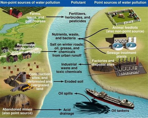 Causes Of Water Pollution Chart