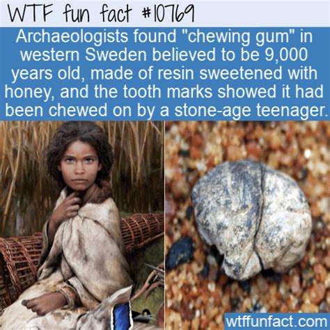 Wtf Fun Fact Old Chewing Gum