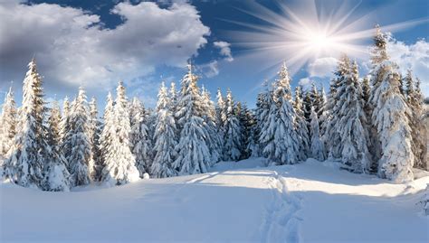 Winter Forest Snow Path Sun Clouds Hd Wallpaper