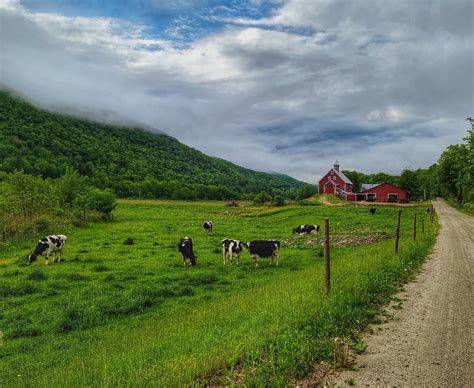 7 Beautiful Vermont Farms Where You Can Experience Country Life